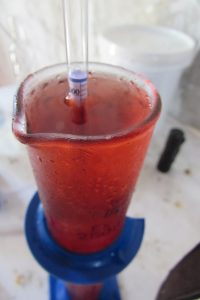 Hidromel Receita Hibíscus